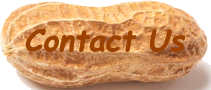 Link to Contact Page