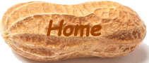 Link to Home Page
